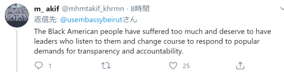 美国驻黎巴嫩大使馆|美国驻黎巴嫩大使馆发推“声援”黎巴嫩示威者，评论翻车！