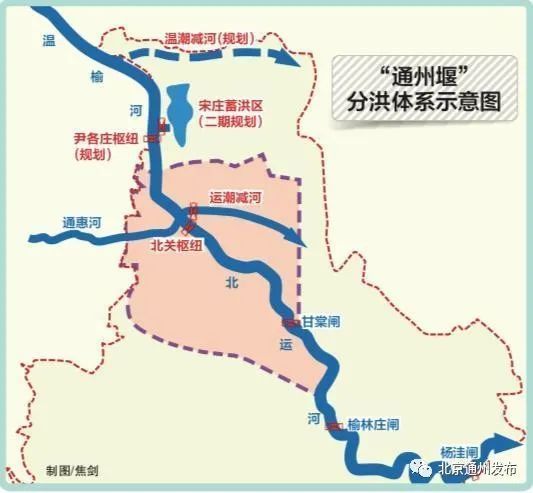 北京|北京 明春在通州看芦苇浩荡飞鸟蹁跹