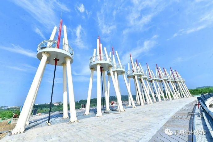 北京|北京 明春在通州看芦苇浩荡飞鸟蹁跹