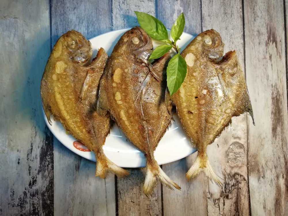 三鯧,鯧魚是我的最愛,鯧魚種類繁多,有鬥鯧,金鯧,白鯧,烏鯧,銀鯧,肉鯧