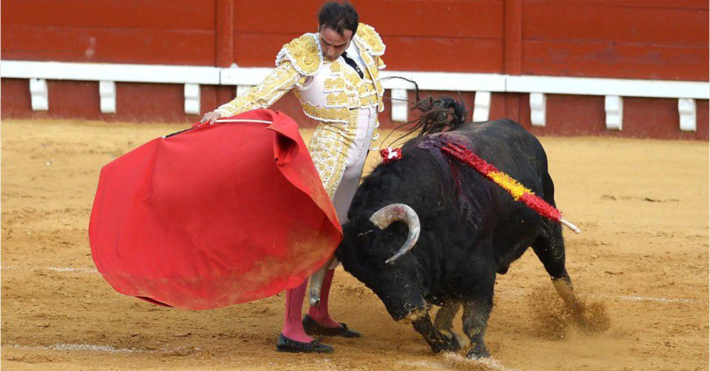 恩里克·庞塞|西班牙斗牛士刺中牛后，被牛角刺飞臀部受伤