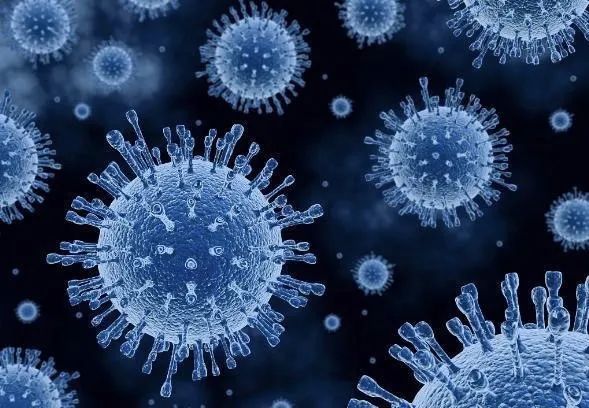 新冠肺炎|日本东京新确诊429人，研究发现新冠肺炎感染率、重症化与血型相关