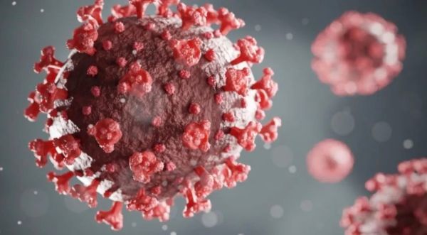 新冠肺炎|日本东京新确诊429人，研究发现新冠肺炎感染率、重症化与血型相关