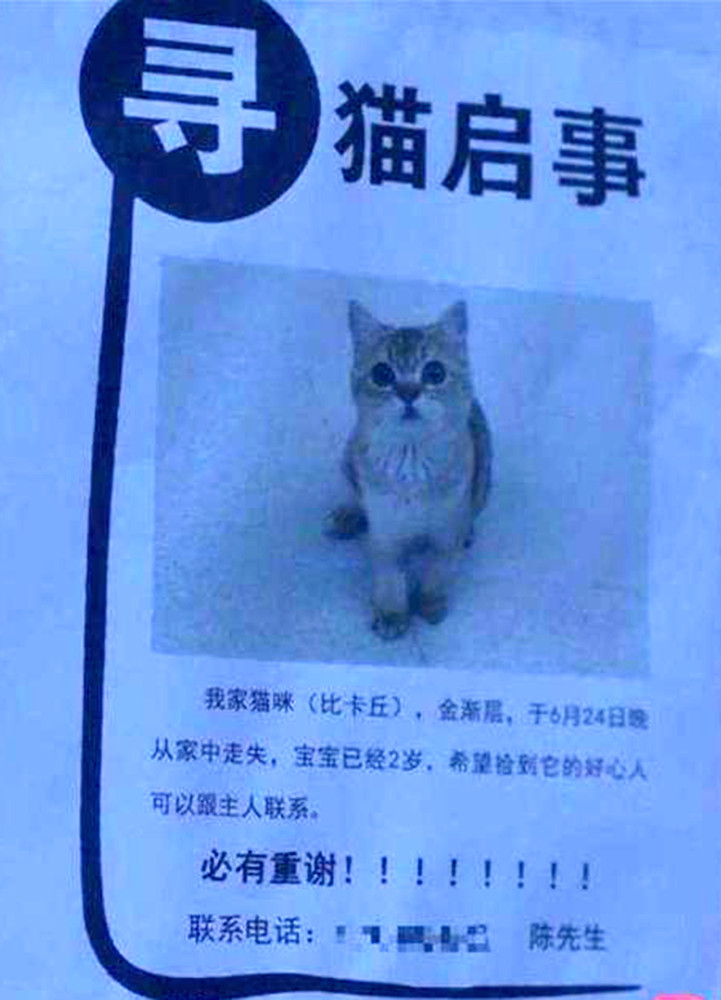 三十而已|《三十而已》要有麻烦了？陈屿电话号码现实存在，使用者不堪其扰