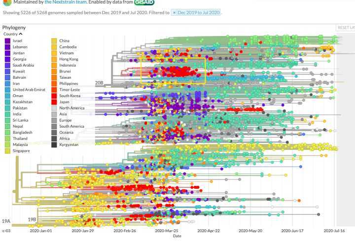 新冠病毒|日本出现变异新冠病毒并快速扩散是怎么回事？