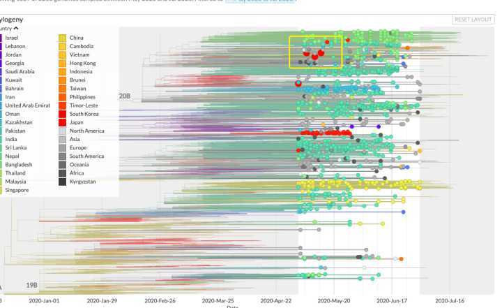 新冠病毒|日本出现变异新冠病毒并快速扩散是怎么回事？