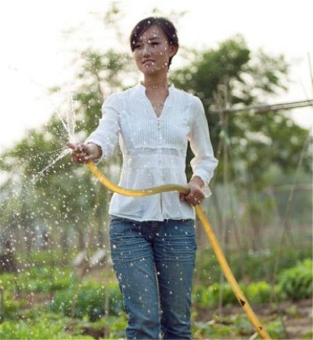 清华大学|清华女博士回村当农民，种地11年年收入800万，亲生父母认不出