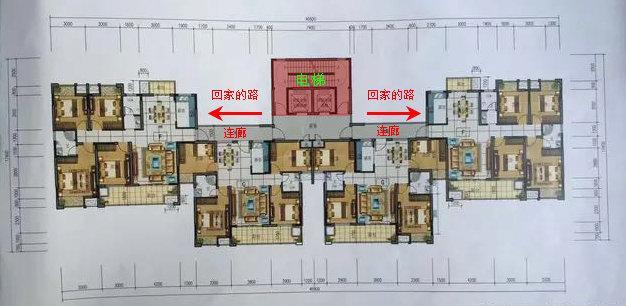 带走廊的户型图图片