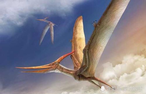 地球上的能量能够供体型较大的恐龙生存,而翼龙也能获得足够的能量