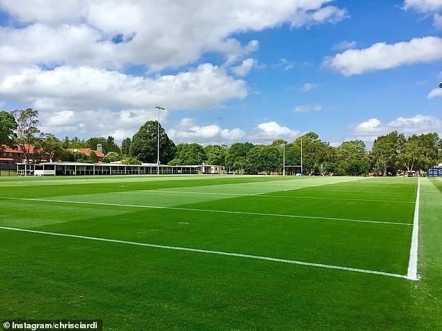 澳大利亚_社会|澳大利亚一橄榄球联赛结束后，双方多名球员竟持刀互捅致多人受伤