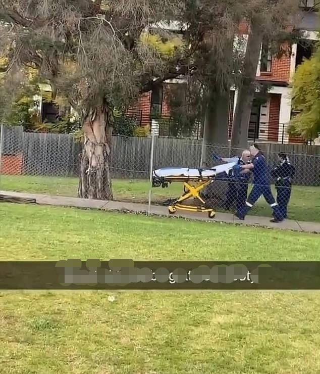 澳大利亚_社会|澳大利亚一橄榄球联赛结束后，双方多名球员竟持刀互捅致多人受伤