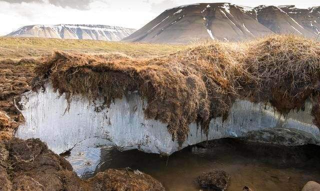 北极圈|霍金的预言要成真了？加拿大两冰盖3年就消失，北极圈可能要大变