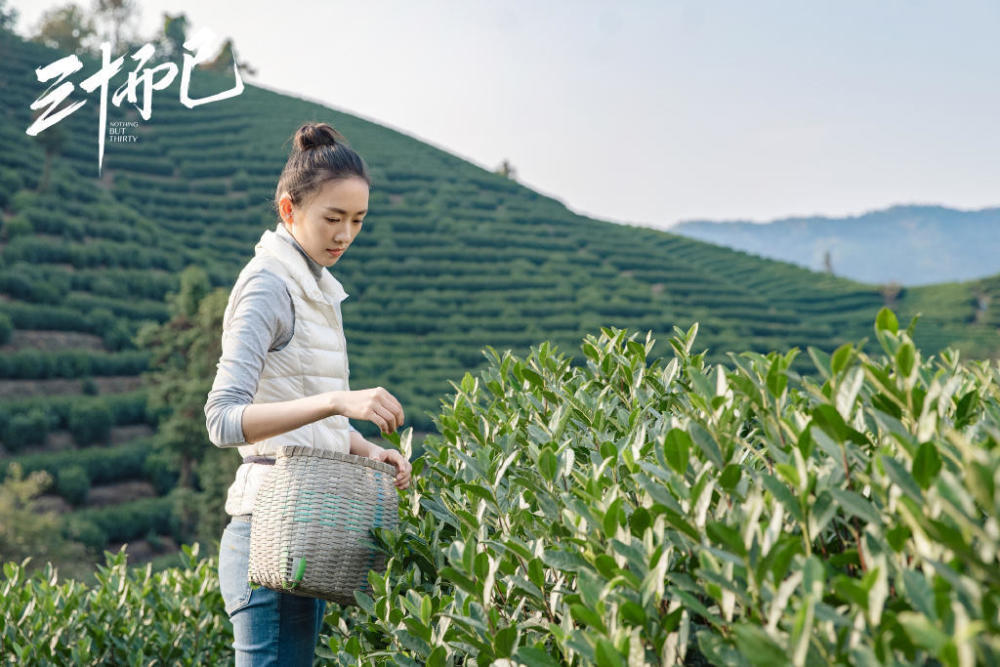 三十而已|《三十而已》：别看顾佳强势，其实她在婚姻里爱得很自卑