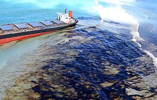 毛里求斯_时政|日本货船泄漏至少1千吨石油 致毛里求斯进入环境紧急状态