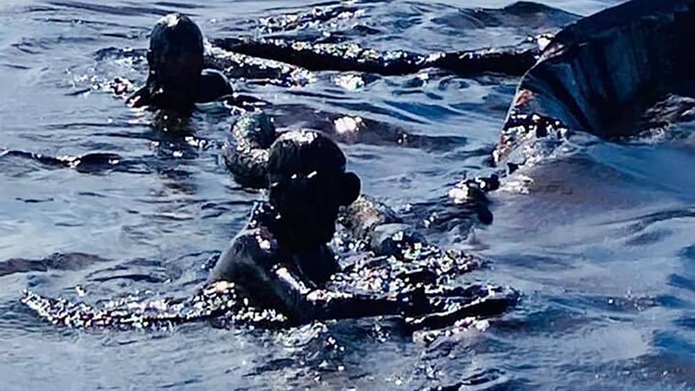 毛里求斯_时政|日本货船泄漏至少1千吨石油 致毛里求斯进入环境紧急状态