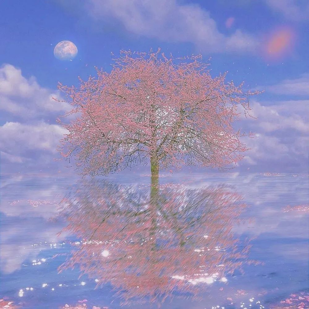 超仙气的朋友圈封面背景图