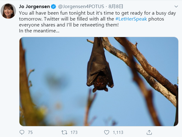 美国总统|一名美国总统竞选人被蝙蝠咬伤，发推自嘲将变“蝙蝠侠”参加竞选