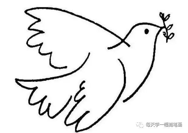 每天学一幅简笔画这样的画和平鸽简笔画简单又好看