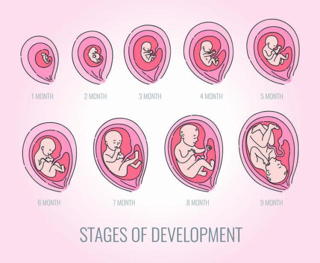 怀孕16周能感觉到胎动吗 为什么有的妈妈感觉不到呢 周能 孕妈 胎动 怀孕 宝宝
