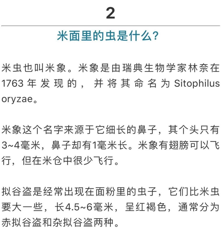 小虫|米面为啥凭空出现小虫？会传染疾病吗？看完你就知道了