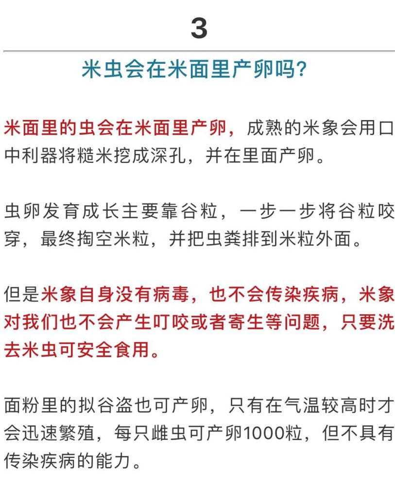 小虫|米面为啥凭空出现小虫？会传染疾病吗？看完你就知道了