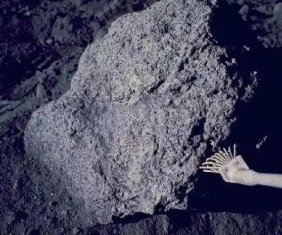 月球|“还活着”！580天的月球征程，嫦娥四号创造了多个世界第一