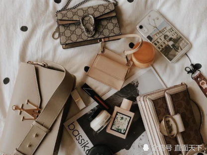 澳大利亚_社会|“时尚达人”男子在网上疯狂晒出名牌包 竟然全是偷来的