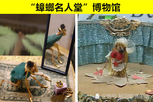 自来水博物馆|“怪异”的博物馆：由于某种原因，而建造的7个奇怪的博物馆