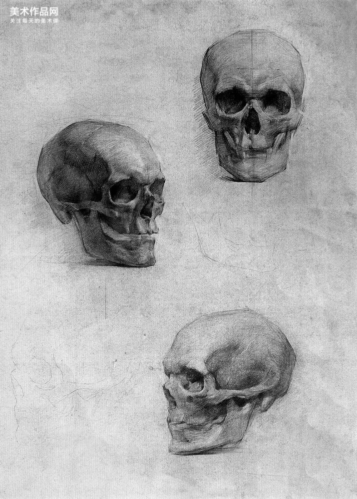高考|经典素描作品集