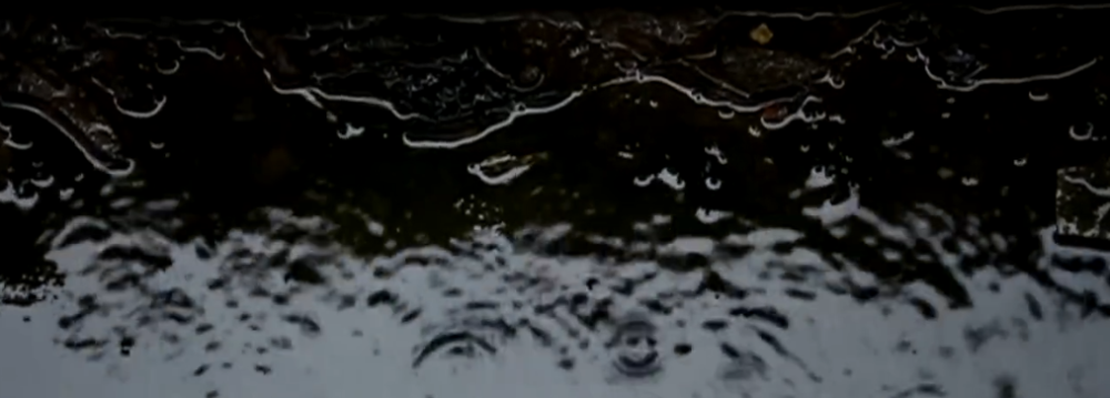 新房|千万购置新房，不到一年却是因漏水糟心