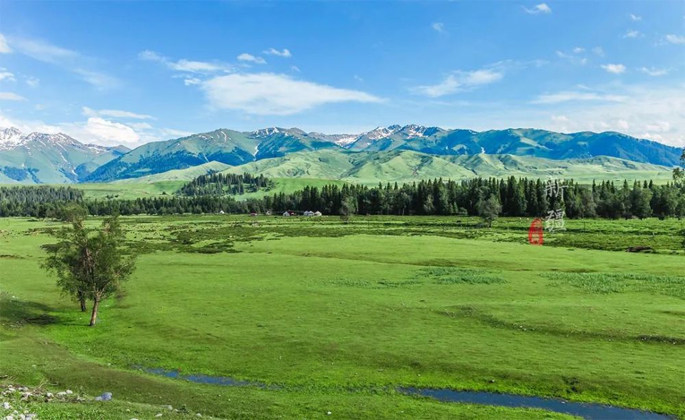 新疆这个大草原，秒杀国内大部分草原