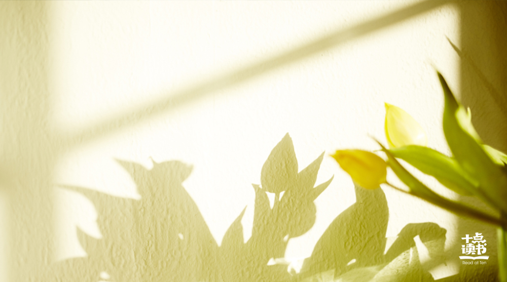 情绪|懂得克制，人生越来越极致