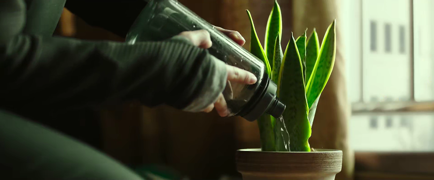 票房|韩国票房冠军，居然是个大烂片