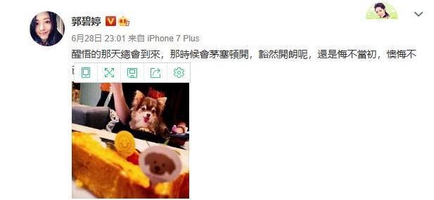 郭碧婷|郭碧婷即将临产，向佐却在推销自创品牌，结果被网友骂惨了