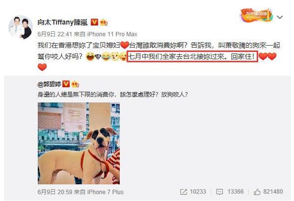 郭碧婷|郭碧婷即将临产，向佐却在推销自创品牌，结果被网友骂惨了