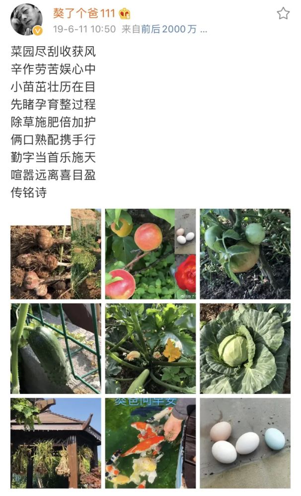 许幻山|许幻山出轨、吃软饭一无是处？张继科：我觉得他是个好爸爸……