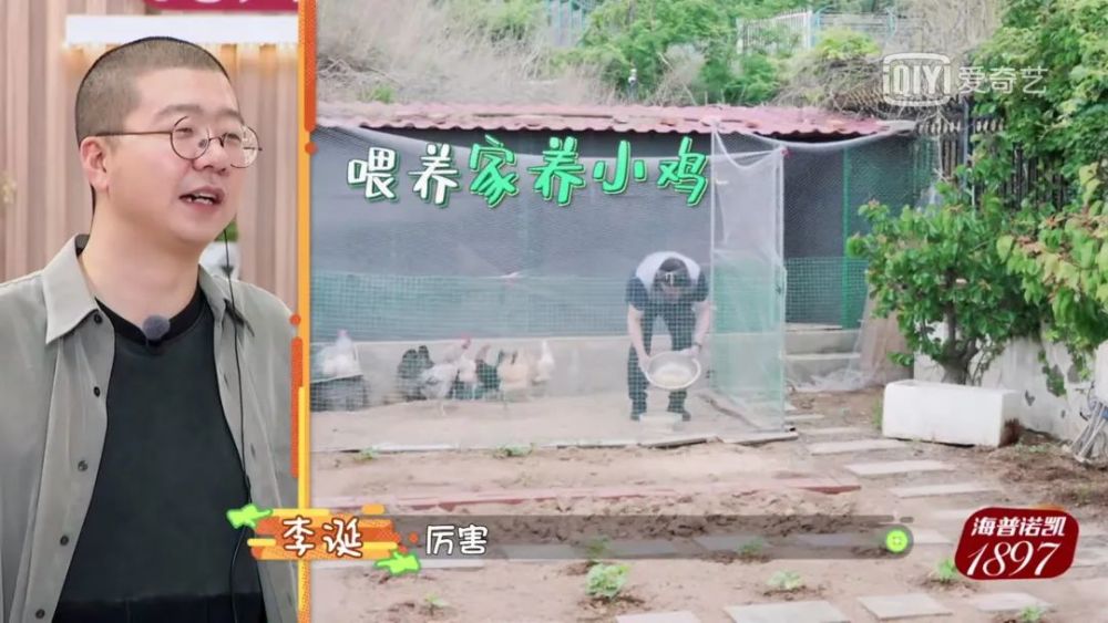 许幻山|许幻山出轨、吃软饭一无是处？张继科：我觉得他是个好爸爸……