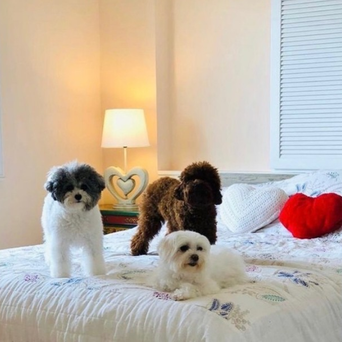 tvb|宠妻30年！52岁TVB男艺人为太太准备生日惊喜！有共识不生小朋友