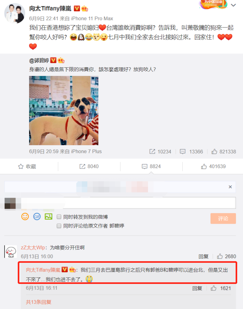 郭碧婷|郭碧婷上线20余次不表态，向佐删除“将升级当爸爸”动态