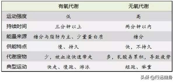 有氧跑和无氧跑哪个减脂效果好 腾讯新闻