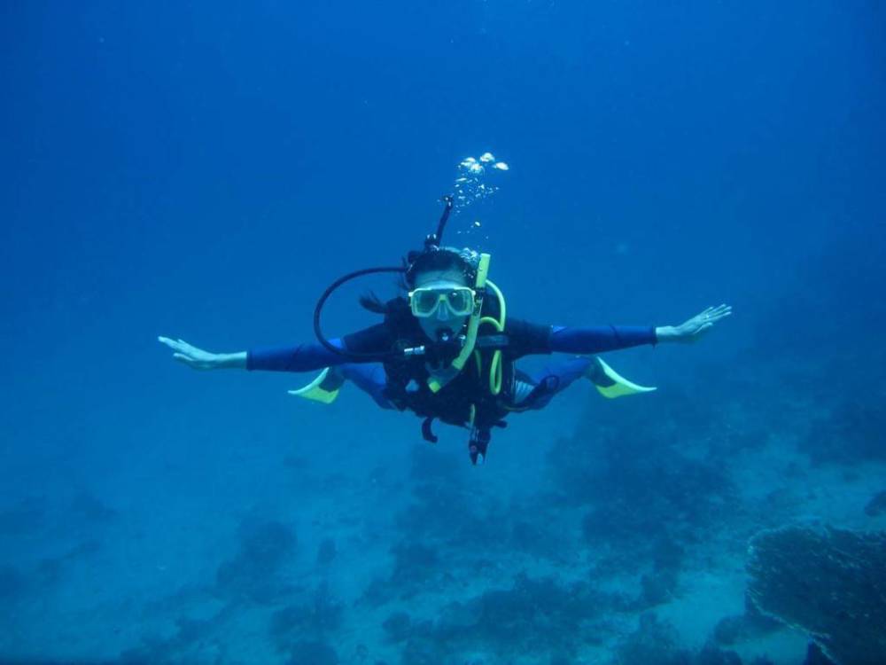 鲸鱼|被鲸鱼吞下肚后，人类活着的可能性有多大？