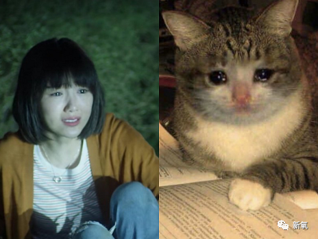 毛晓彤|明明痕迹重，为什么大家对毛晓彤的非工业糖精脸那么宽容？