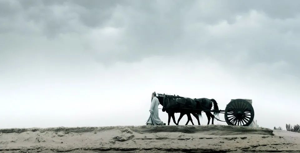 冯仑|冯仑：既做演员又当观众，切换越快越自如