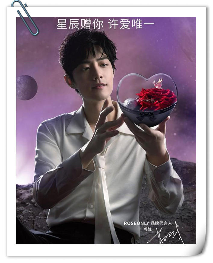 肖战|如果有一天，肖战离开了娱乐圈，整个世界都会安静下来呢