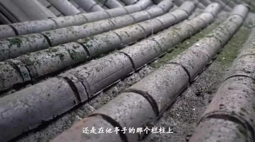 漂亮书生|青春校园＋现代古风，《漂亮书生》如何与年轻人“同频共振”？