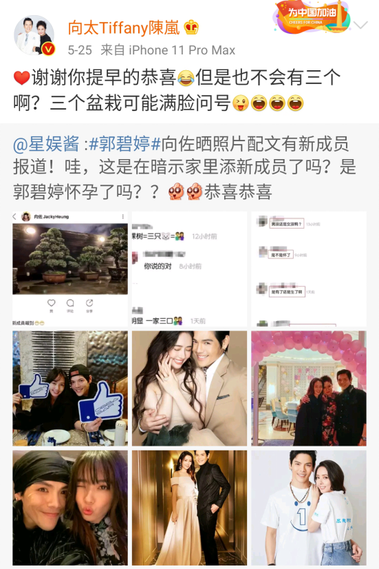 郭碧婷|怀孕没领证，向佐不在场？郭碧婷的“豪门婚姻”到底坑在哪？