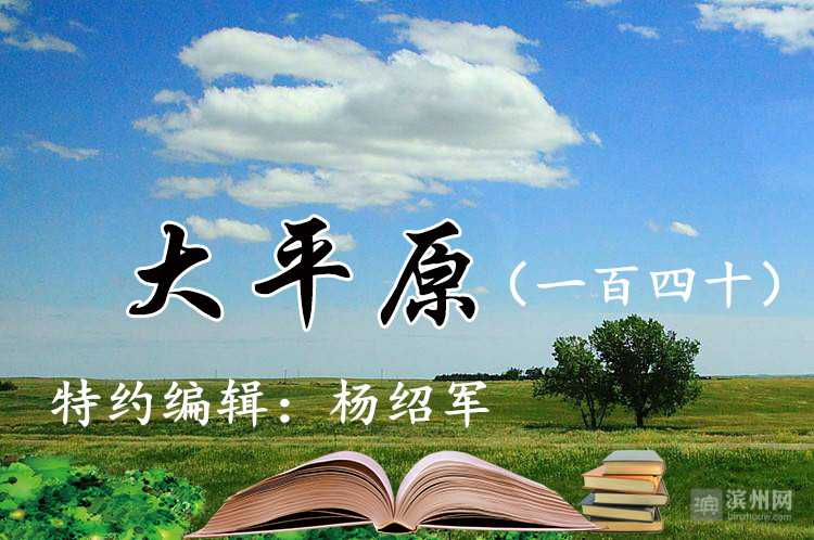 白蜡树|父亲栽下的白蜡树