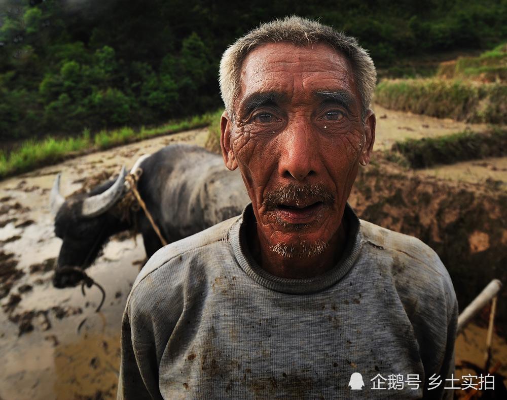 老一辈农民的担忧――将来农村田地无人耕种咋办?请你支招