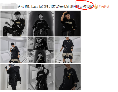 向佐|向佐人设崩塌！为孩子孕育的品牌被举报抄袭，对比几乎是照着画的