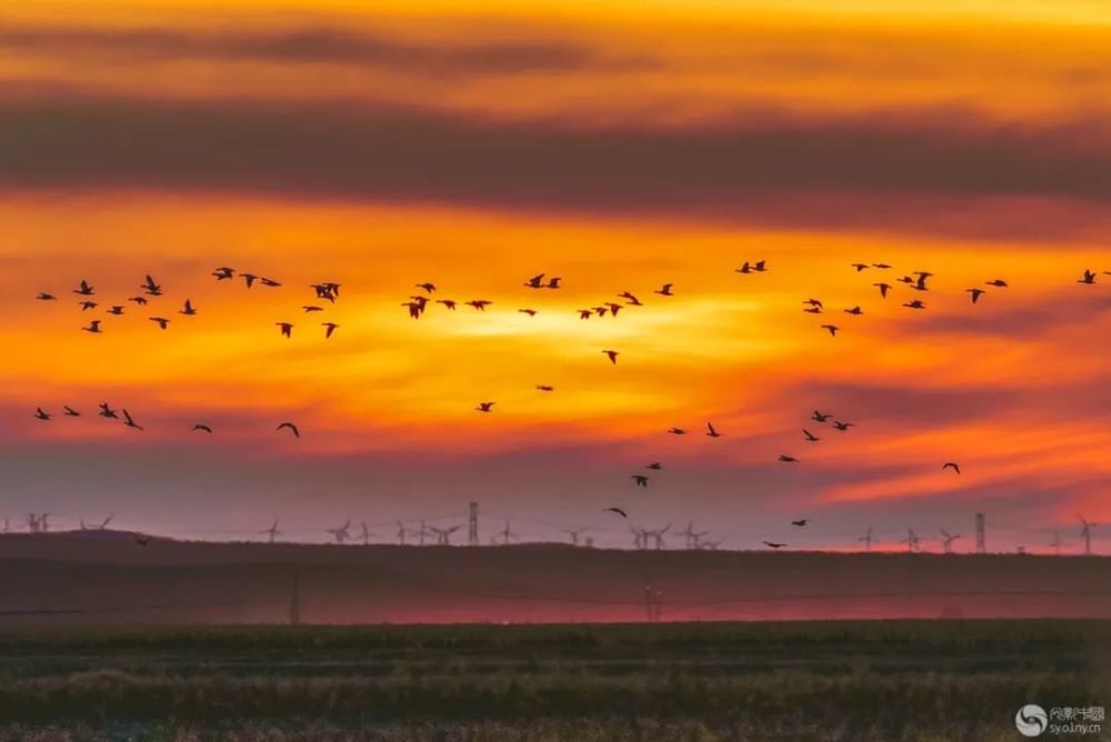 天光云影|光影中国8月10日图片精选